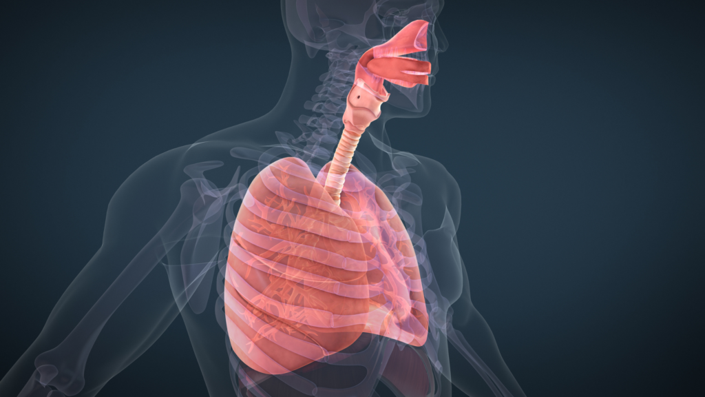 oral health respiratory diseases